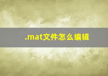 .mat文件怎么编辑