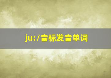 /ju:/音标发音单词