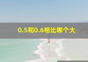 0.5和0.6相比哪个大