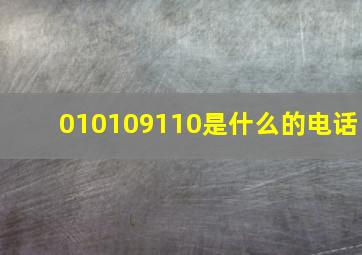 010109110是什么的电话