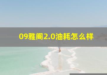 09雅阁2.0油耗怎么样