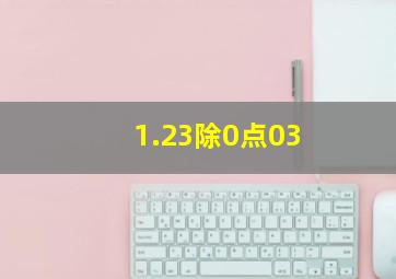 1.23除0点03