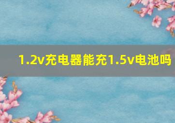 1.2v充电器能充1.5v电池吗