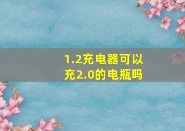 1.2充电器可以充2.0的电瓶吗