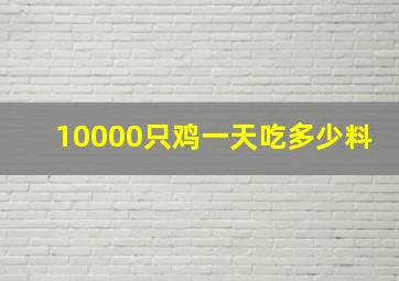 10000只鸡一天吃多少料