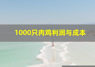 1000只肉鸡利润与成本