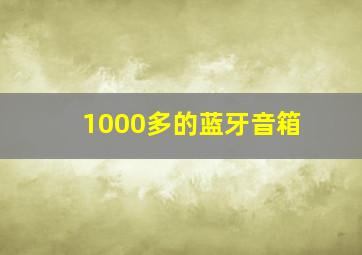 1000多的蓝牙音箱