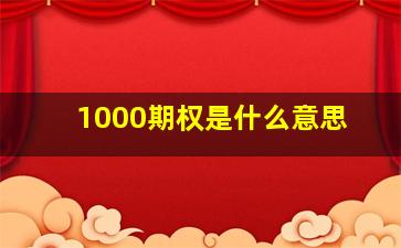 1000期权是什么意思