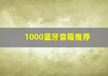 1000蓝牙音箱推荐