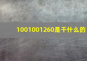 1001001260是干什么的