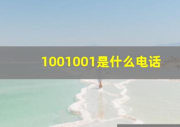 1001001是什么电话