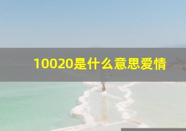 10020是什么意思爱情