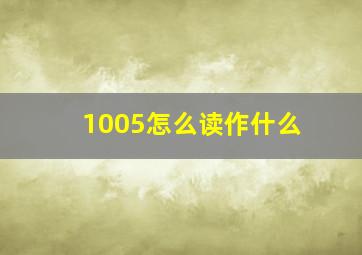 1005怎么读作什么