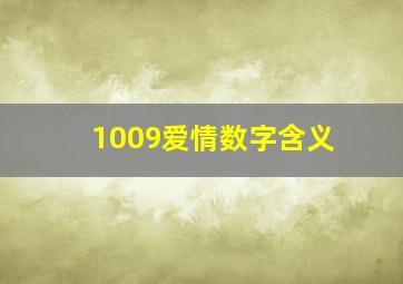 1009爱情数字含义