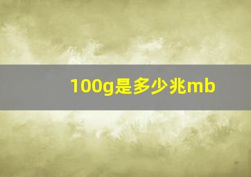 100g是多少兆mb