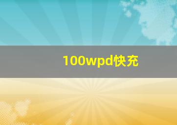 100wpd快充