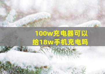 100w充电器可以给18w手机充电吗