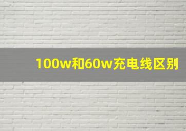 100w和60w充电线区别