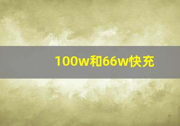 100w和66w快充