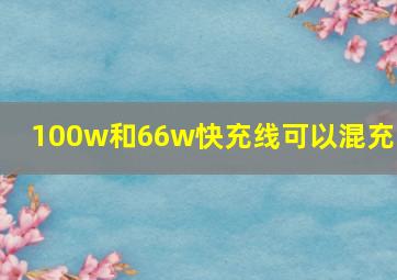 100w和66w快充线可以混充吗