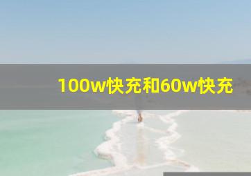 100w快充和60w快充