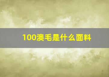 100澳毛是什么面料