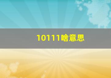 10111啥意思