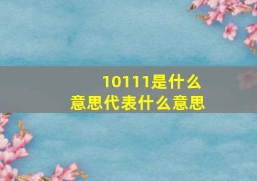 10111是什么意思代表什么意思