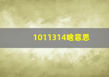 1011314啥意思