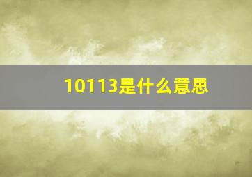 10113是什么意思