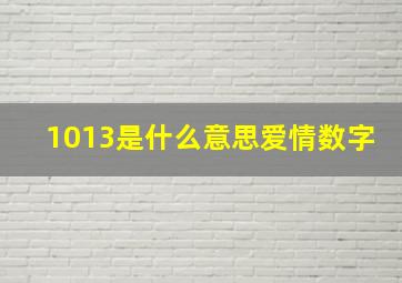 1013是什么意思爱情数字