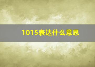 1015表达什么意思