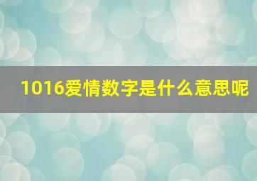 1016爱情数字是什么意思呢