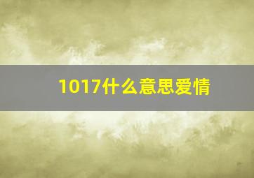 1017什么意思爱情