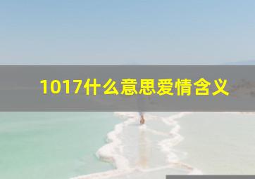 1017什么意思爱情含义