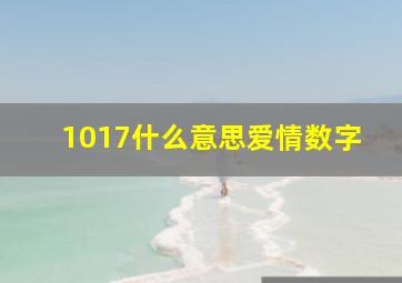 1017什么意思爱情数字