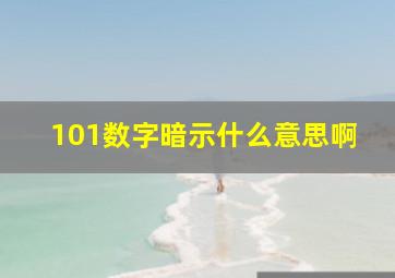 101数字暗示什么意思啊