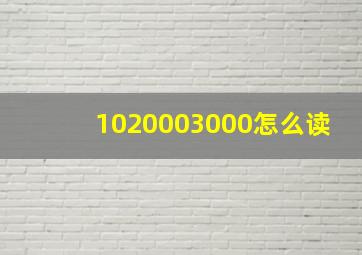 1020003000怎么读