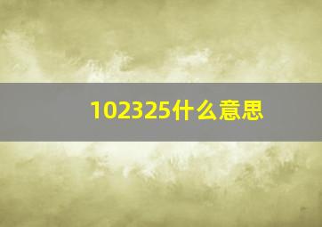 102325什么意思