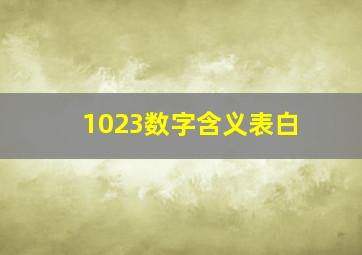 1023数字含义表白