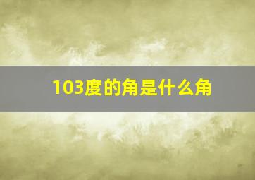 103度的角是什么角