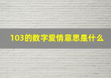 103的数字爱情意思是什么