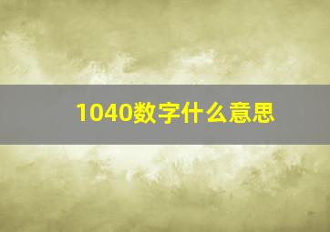 1040数字什么意思