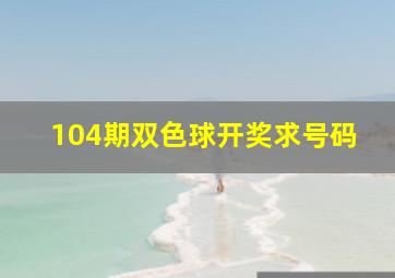 104期双色球开奖求号码