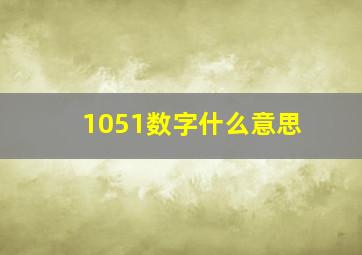 1051数字什么意思