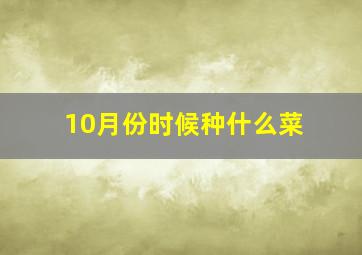 10月份时候种什么菜