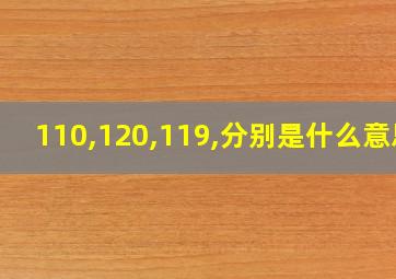 110,120,119,分别是什么意思