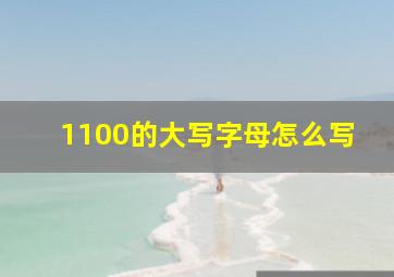 1100的大写字母怎么写