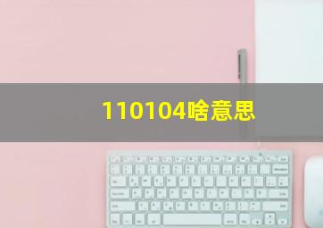 110104啥意思