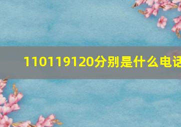 110119120分别是什么电话